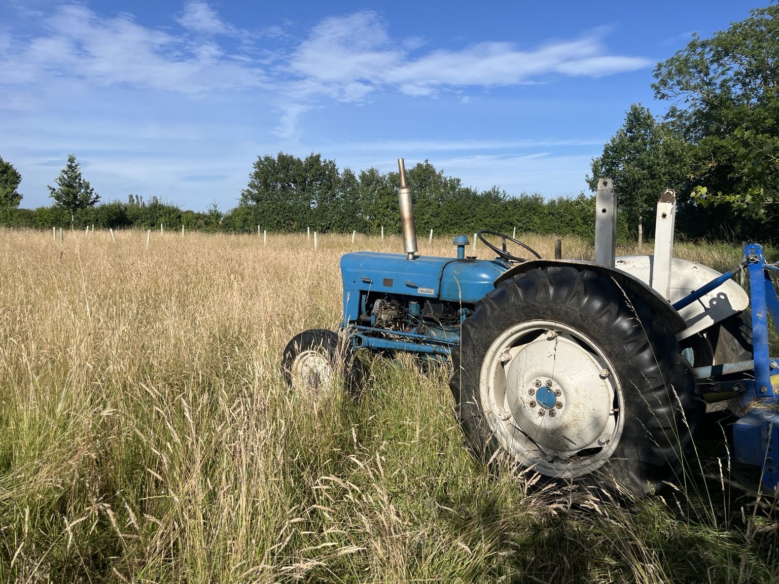Old blue tractor in a field at Berry Farm